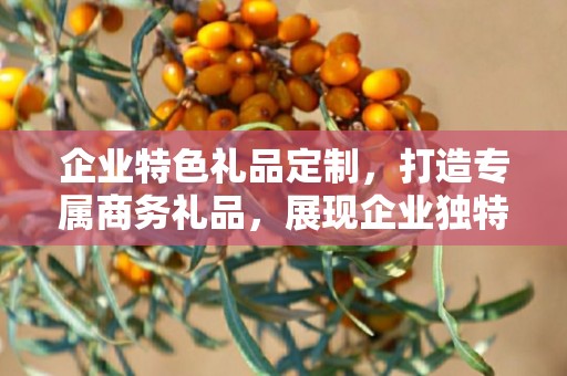 企业特色礼品定制，打造专属商务礼品，展现企业独特风采