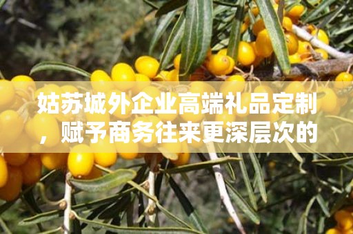 姑苏城外企业高端礼品定制，赋予商务往来更深层次的内涵