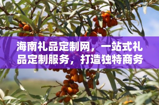 海南礼品定制网，一站式礼品定制服务，打造独特商务礼品体验