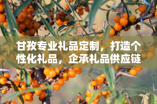 甘孜专业礼品定制，打造个性化礼品，企承礼品供应链助力商务推广