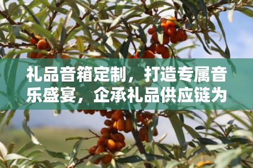 礼品音箱定制，打造专属音乐盛宴，企承礼品供应链为您呈现卓越品质